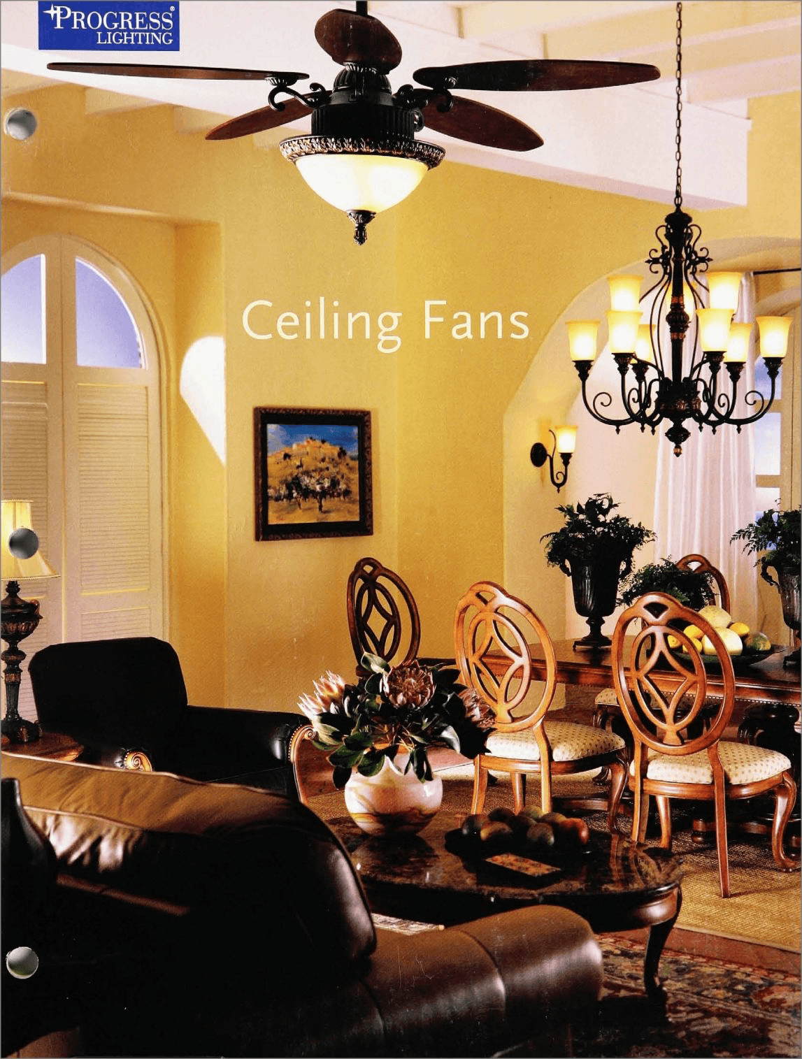 Ceiling Fans